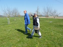 Baumpflegeaktion  2010 16